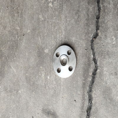 पाइप दीन Pn16 प्लेट Flanges कार्बन स्टील फोर्जिंग